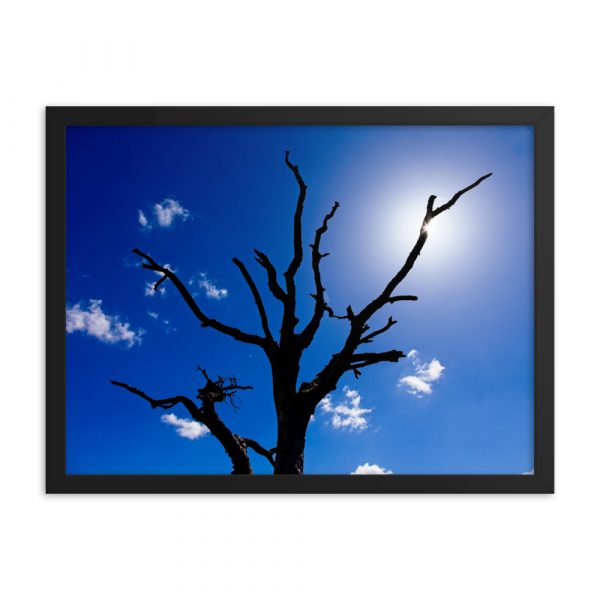 Albero spoglio - immagine 2